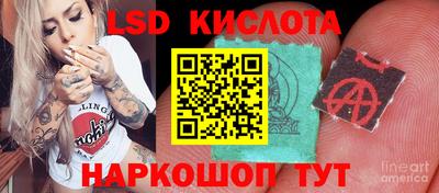 соль ск Будённовск