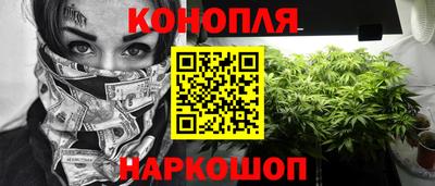 соль ск Будённовск