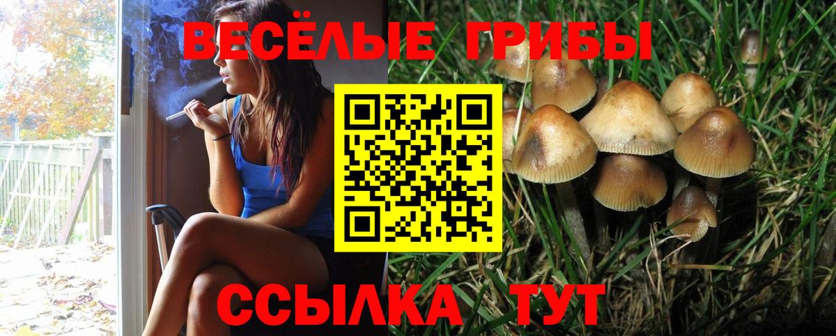 Псилоцибиновые грибы прущие грибы Кулебаки